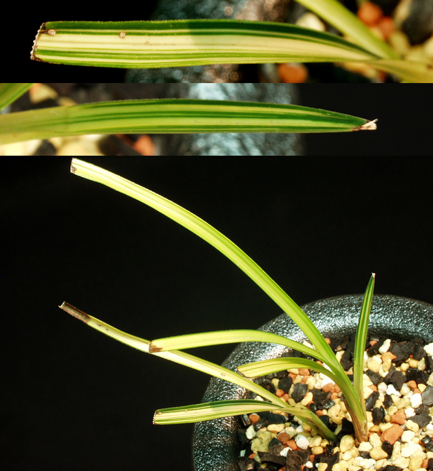 ������ ū������ �� �� �ֽ��ϴ�.