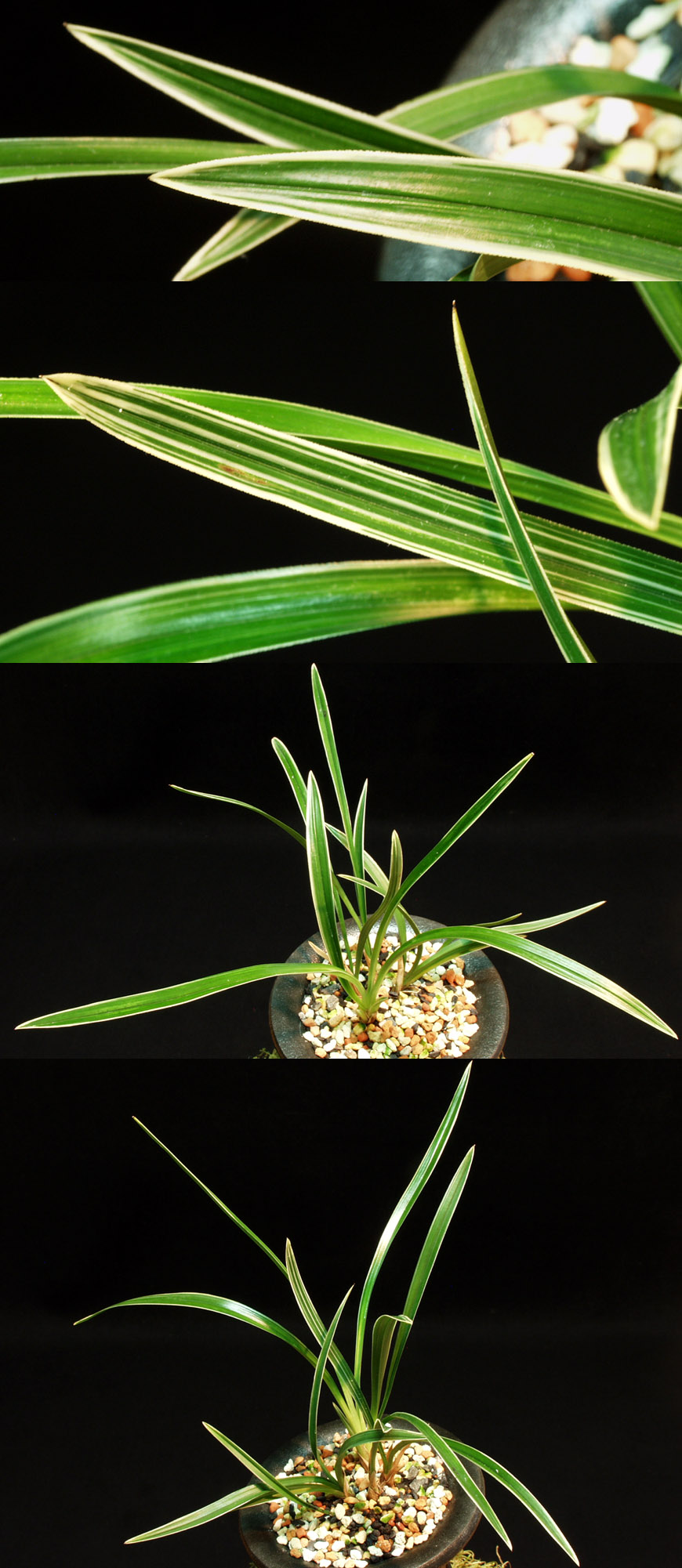 ������ ū������ �� �� �ֽ��ϴ�.