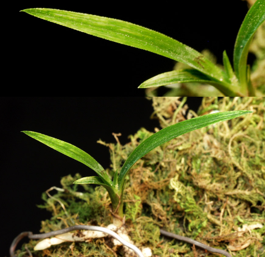 ������ ū������ �� �� �ֽ��ϴ�.