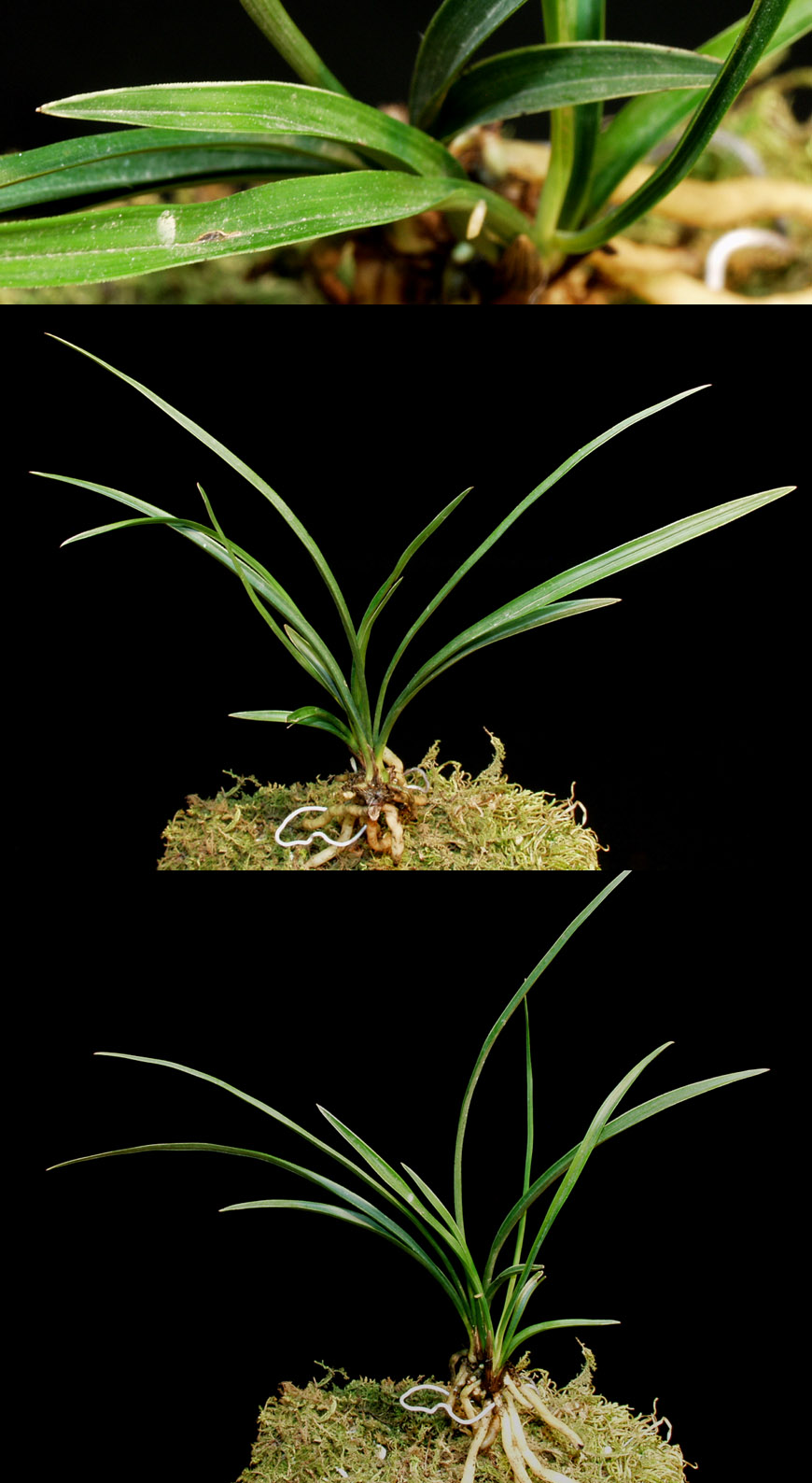 ������ ū������ �� �� �ֽ��ϴ�.