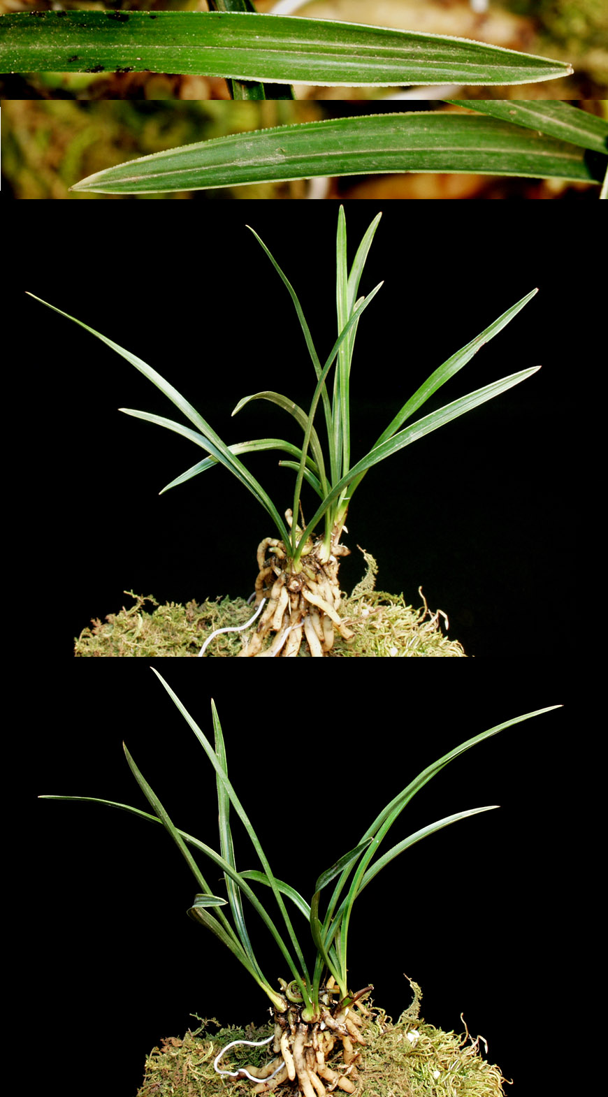 ������ ū������ �� �� �ֽ��ϴ�.