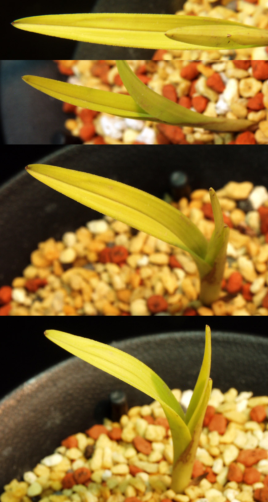 ������ ū������ �� �� �ֽ��ϴ�.