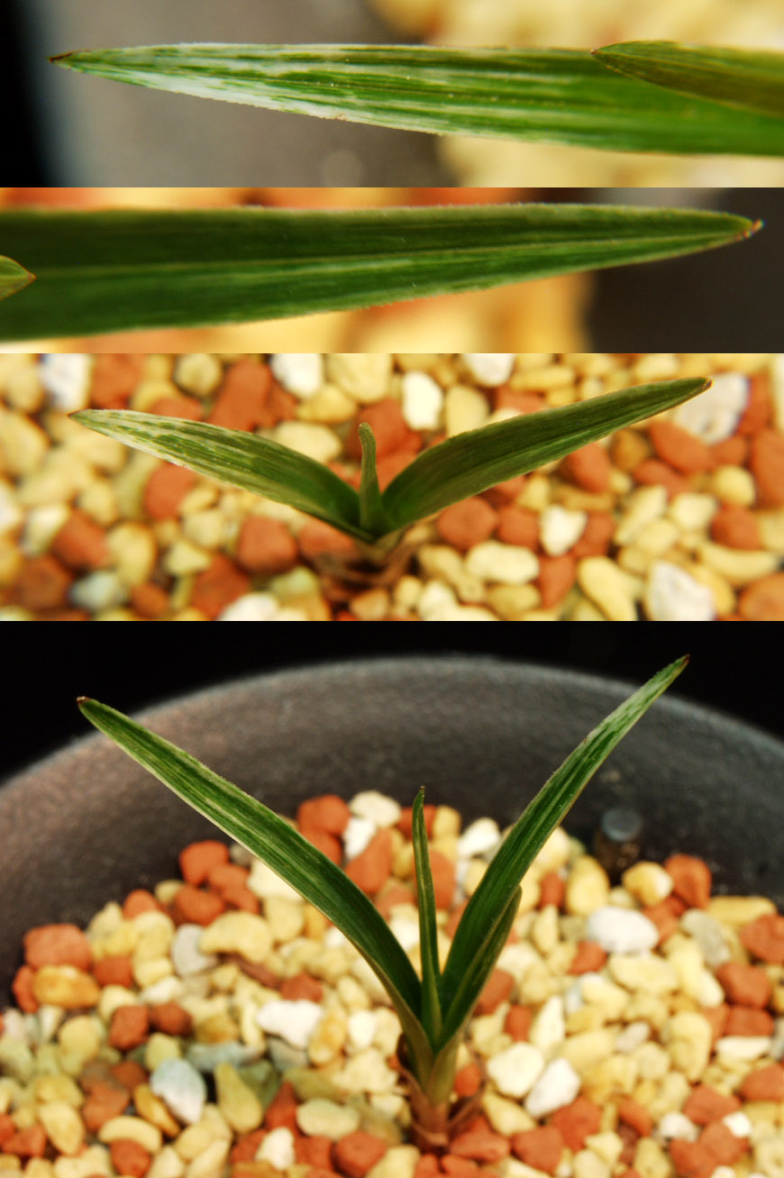 ������ ū������ �� �� �ֽ��ϴ�.