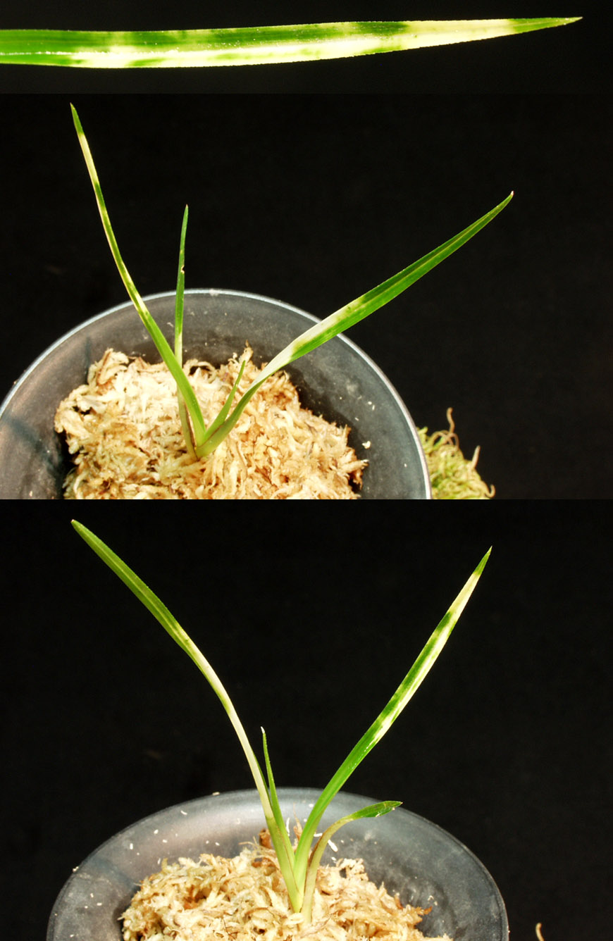 ������ ū������ �� �� �ֽ��ϴ�.