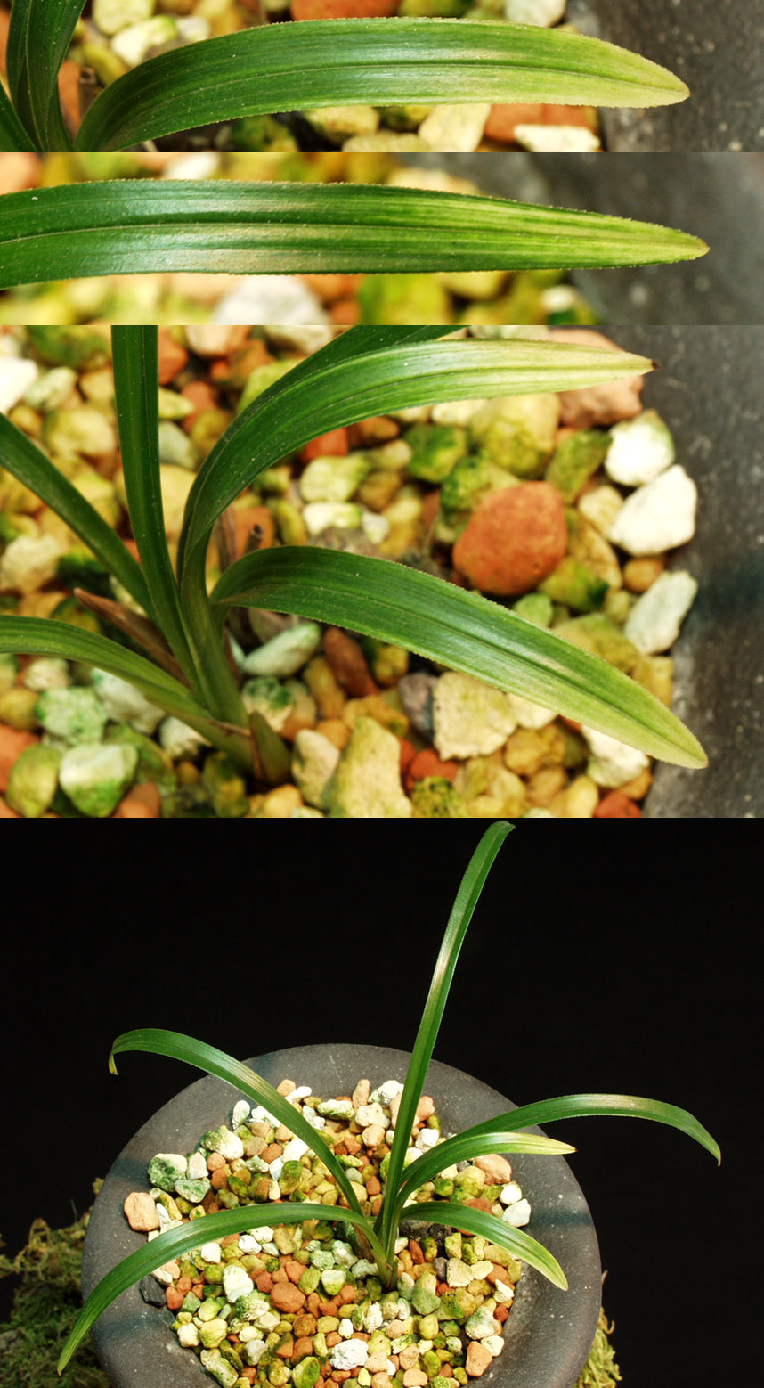 ������ ū������ �� �� �ֽ��ϴ�.