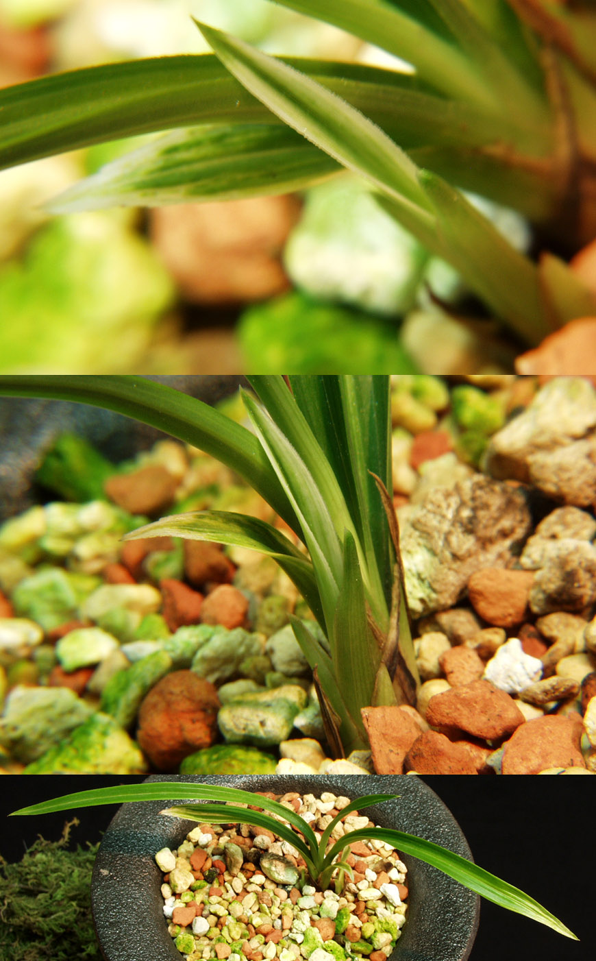 ������ ū������ �� �� �ֽ��ϴ�.