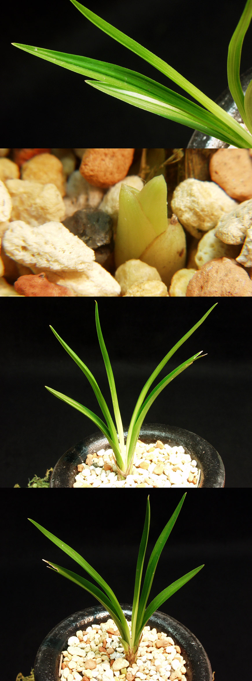 ������ ū������ �� �� �ֽ��ϴ�.