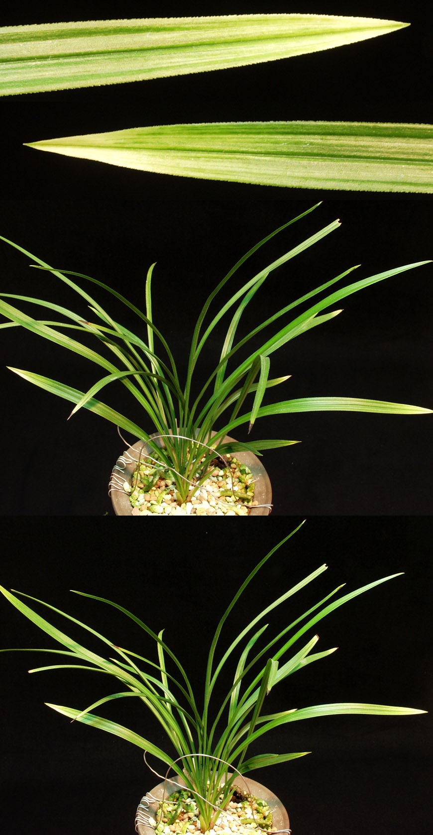 ������ ū������ �� �� �ֽ��ϴ�.