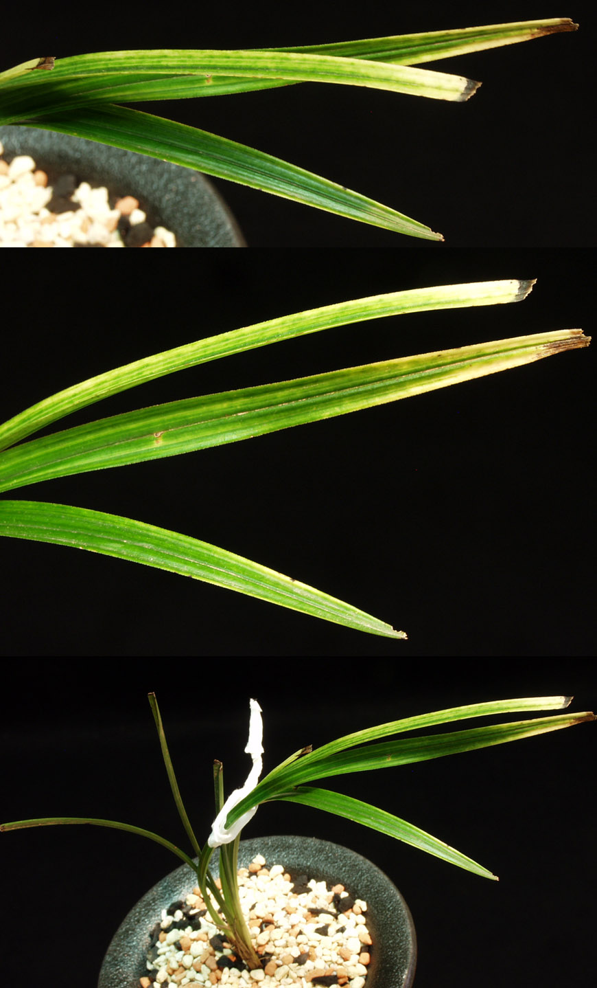 ������ ū������ �� �� �ֽ��ϴ�.