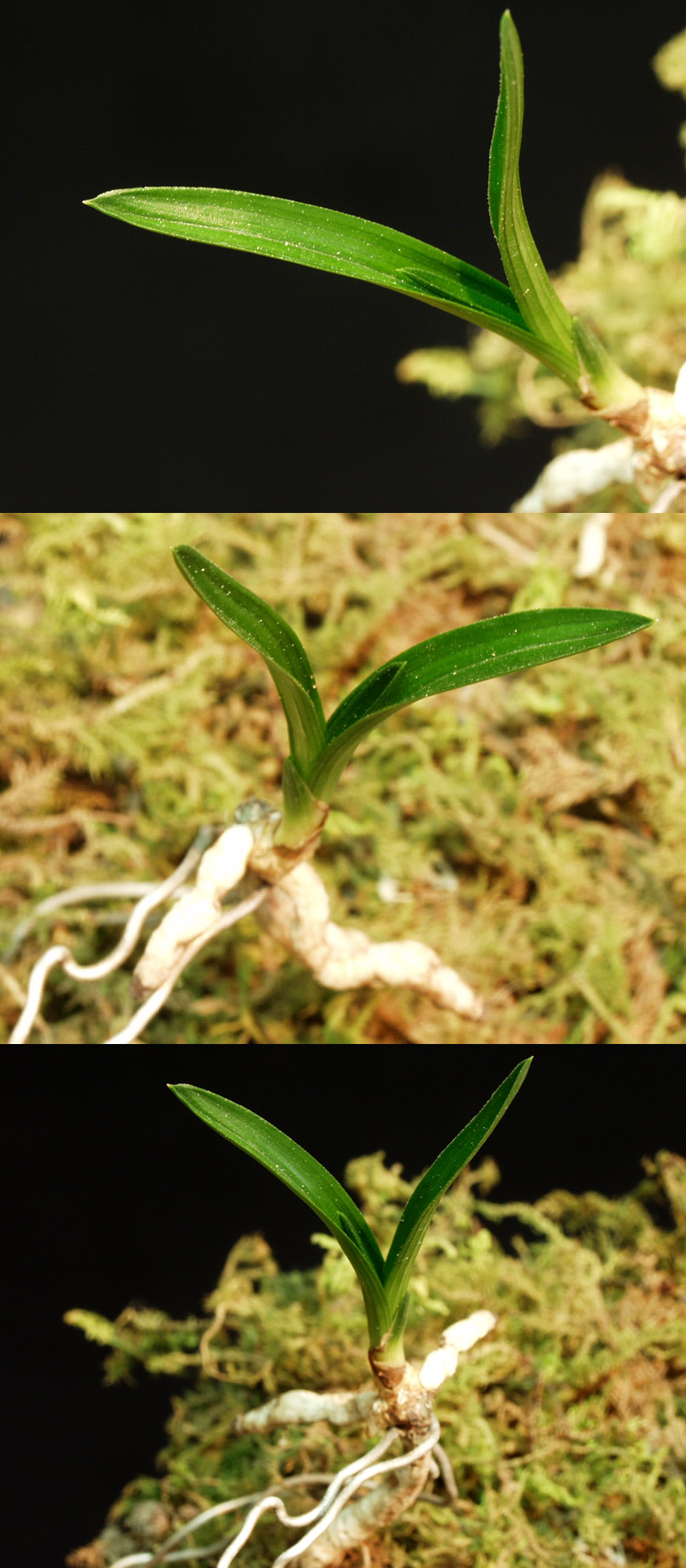 ������ ū������ �� �� �ֽ��ϴ�.