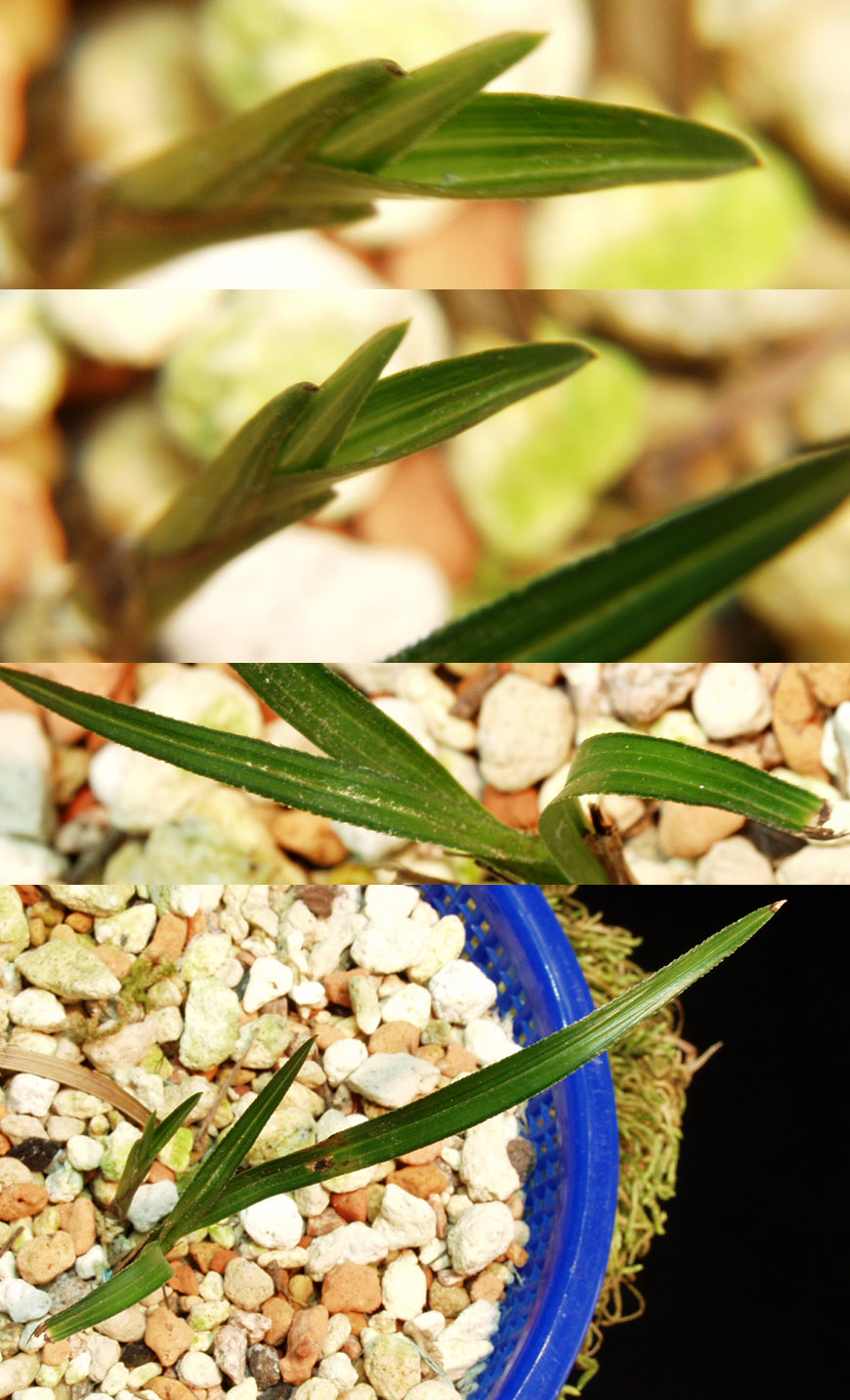 ������ ū������ �� �� �ֽ��ϴ�.