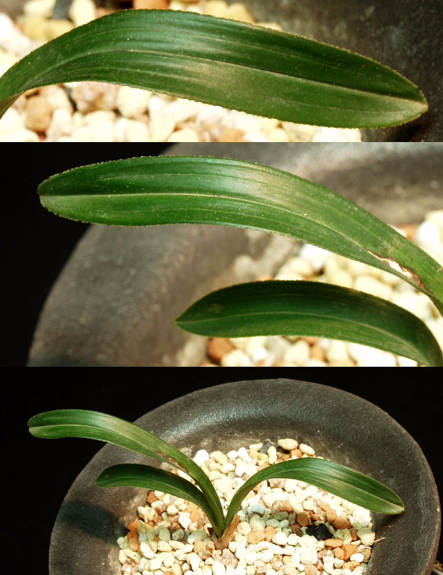 ������ ū������ �� �� �ֽ��ϴ�.