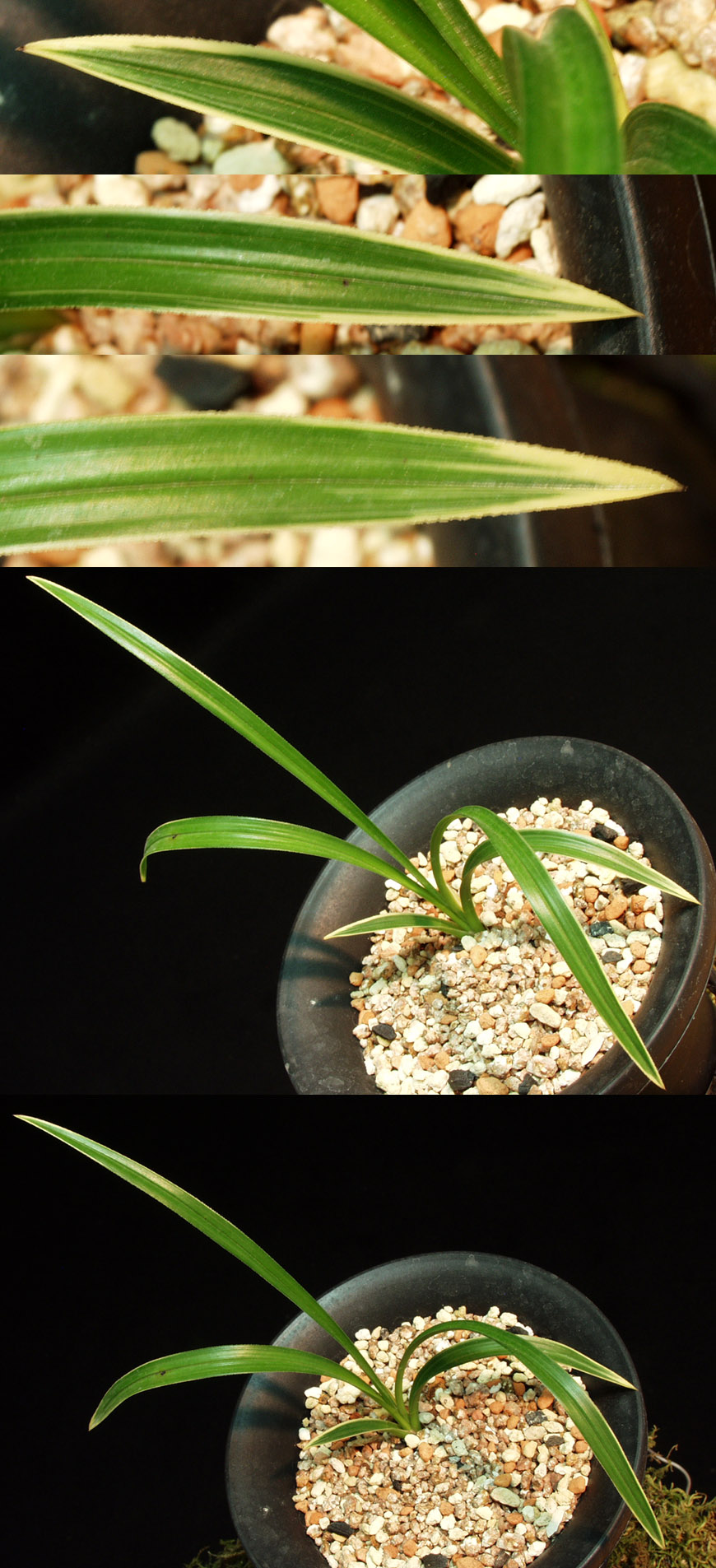 ������ ū������ �� �� �ֽ��ϴ�.