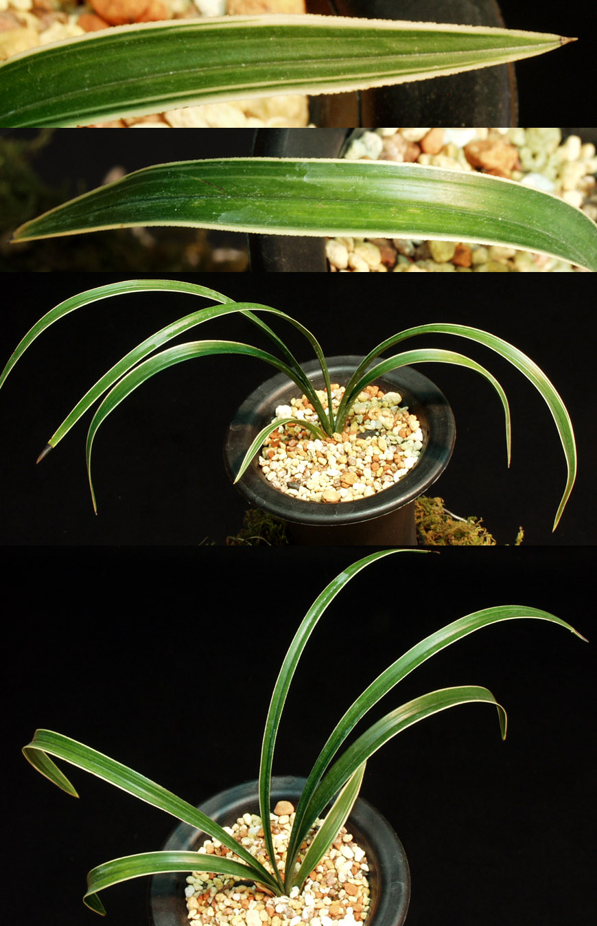 ������ ū������ �� �� �ֽ��ϴ�.