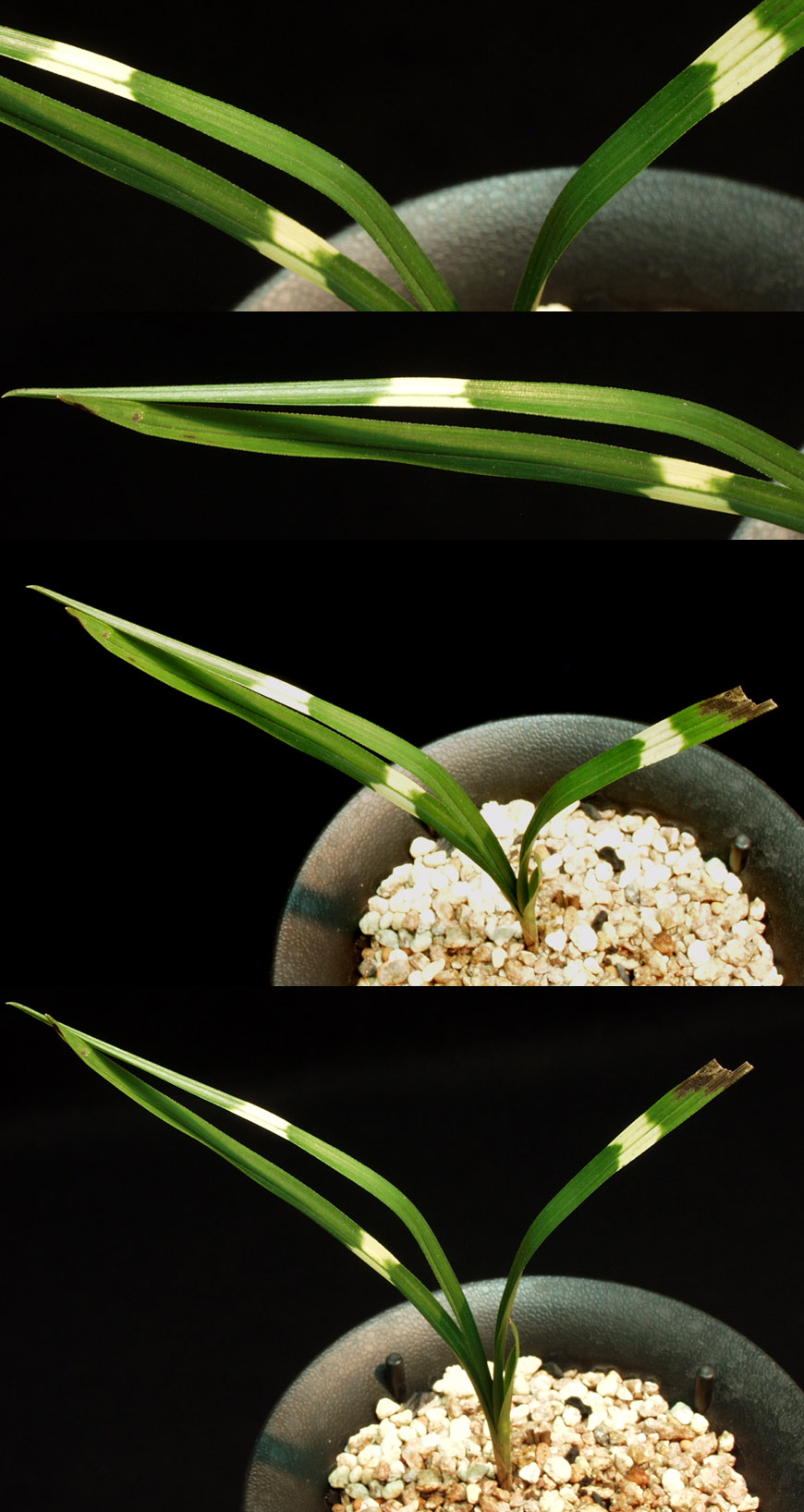 ������ ū������ �� �� �ֽ��ϴ�.