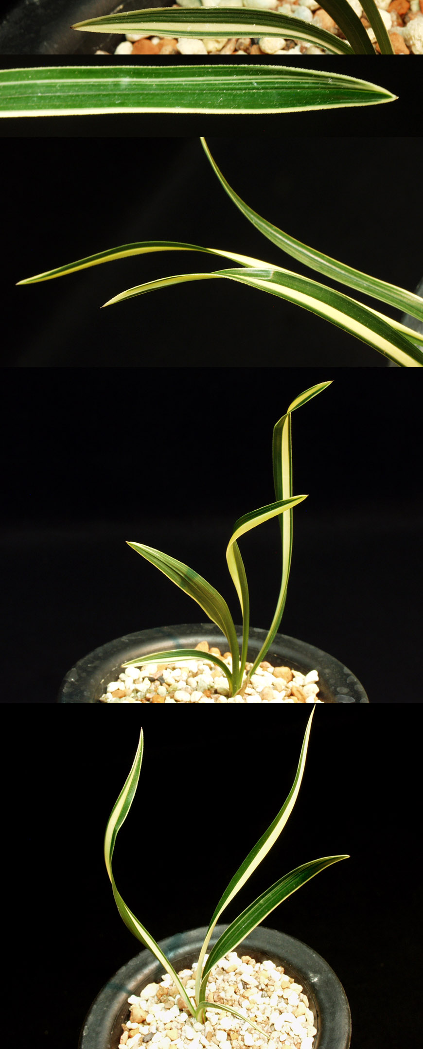 ������ ū������ �� �� �ֽ��ϴ�.