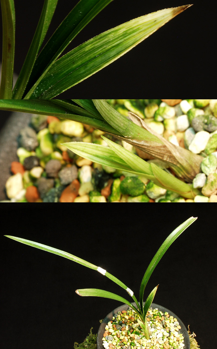 ������ ū������ �� �� �ֽ��ϴ�.