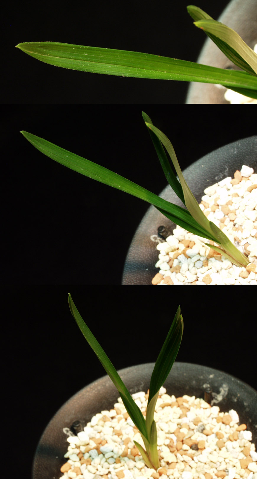 ������ ū������ �� �� �ֽ��ϴ�.