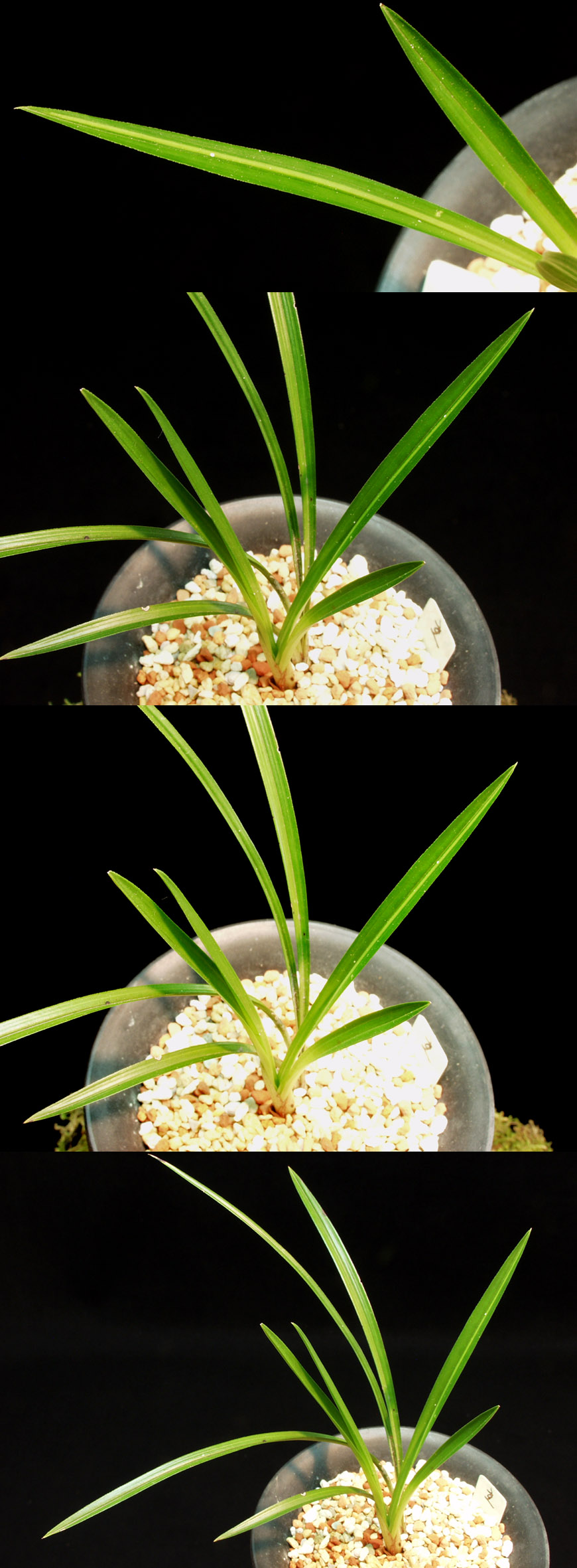 ������ ū������ �� �� �ֽ��ϴ�.