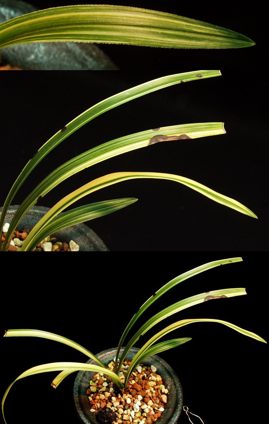 ������ ū������ �� �� �ֽ��ϴ�.