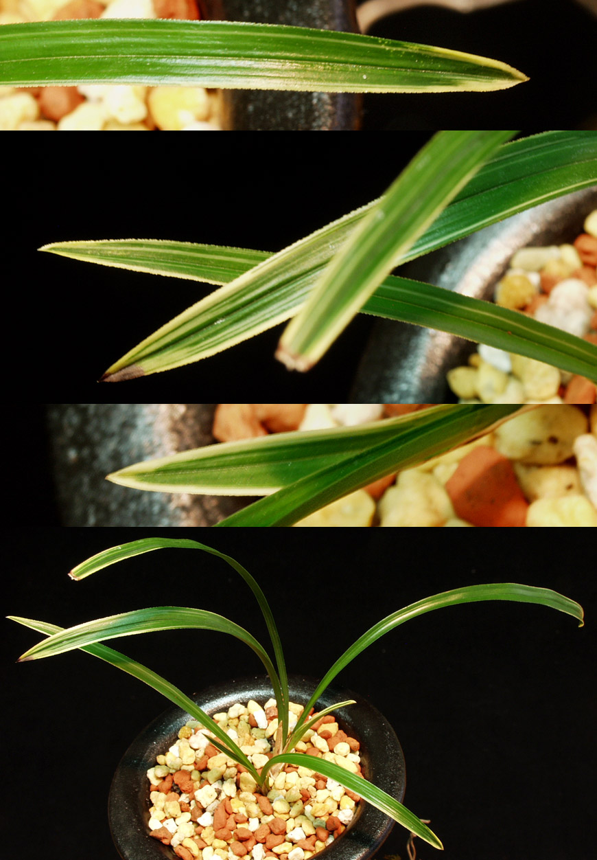 ������ ū������ �� �� �ֽ��ϴ�.