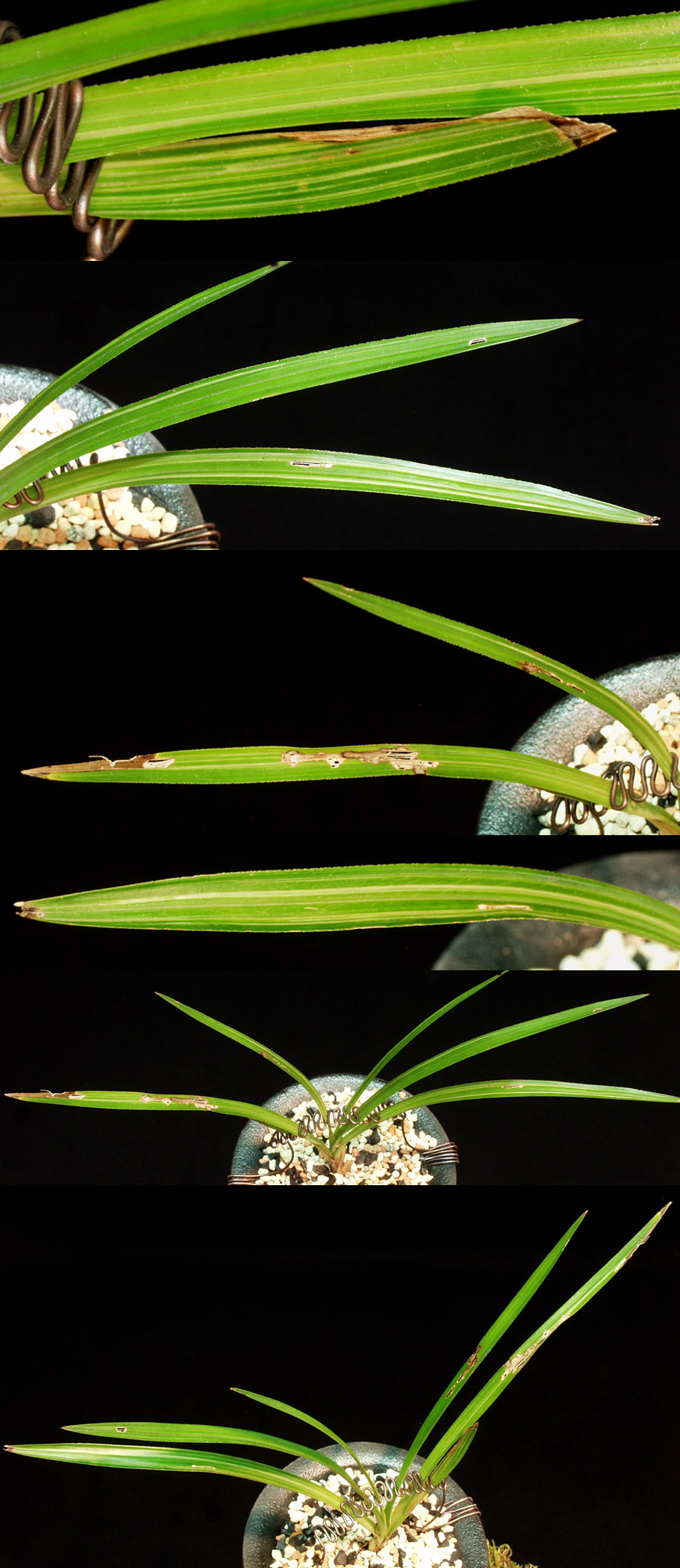 ������ ū������ �� �� �ֽ��ϴ�.