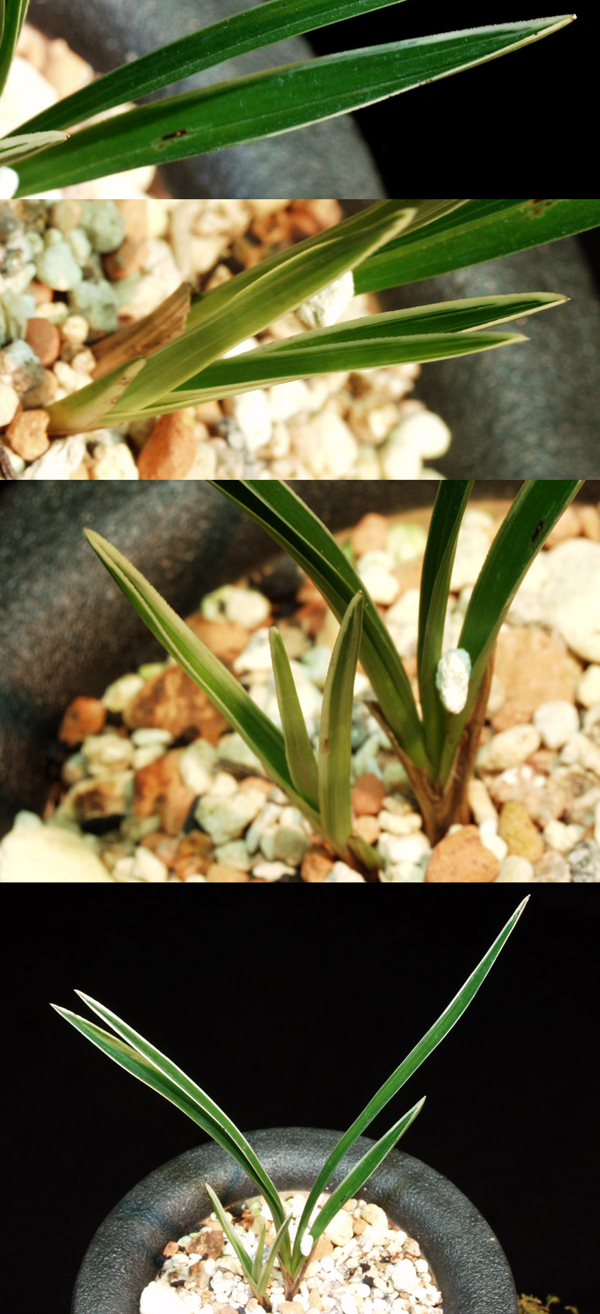 ������ ū������ �� �� �ֽ��ϴ�.