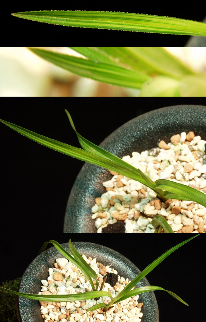 ������ ū������ �� �� �ֽ��ϴ�.