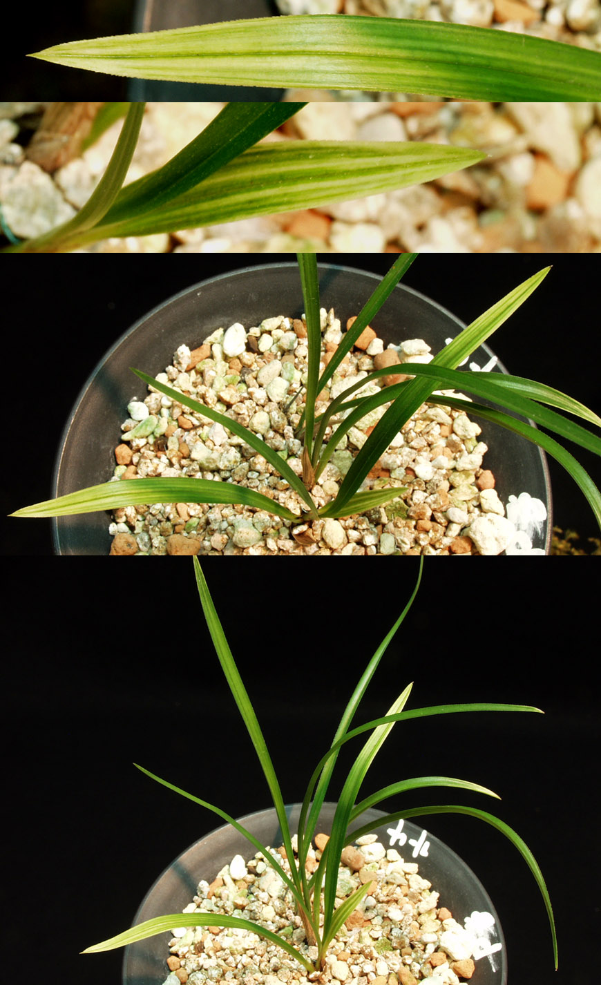 ������ ū������ �� �� �ֽ��ϴ�.