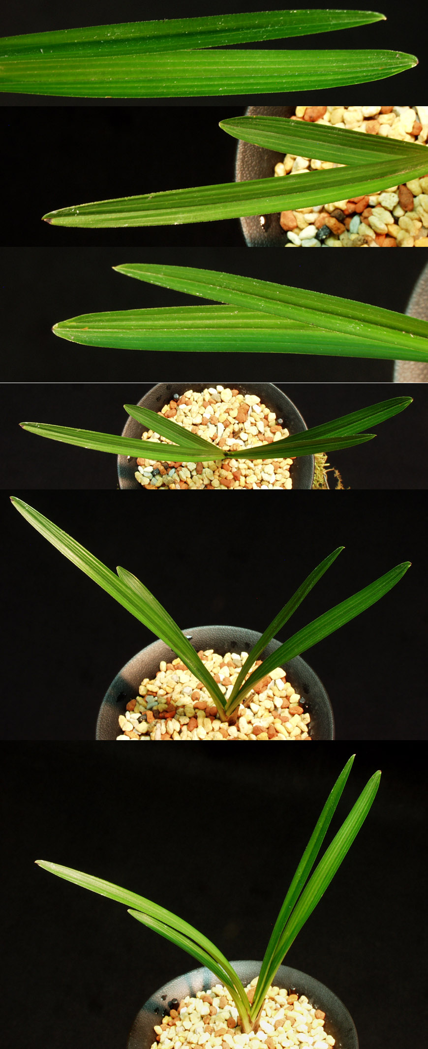 ������ ū������ �� �� �ֽ��ϴ�.