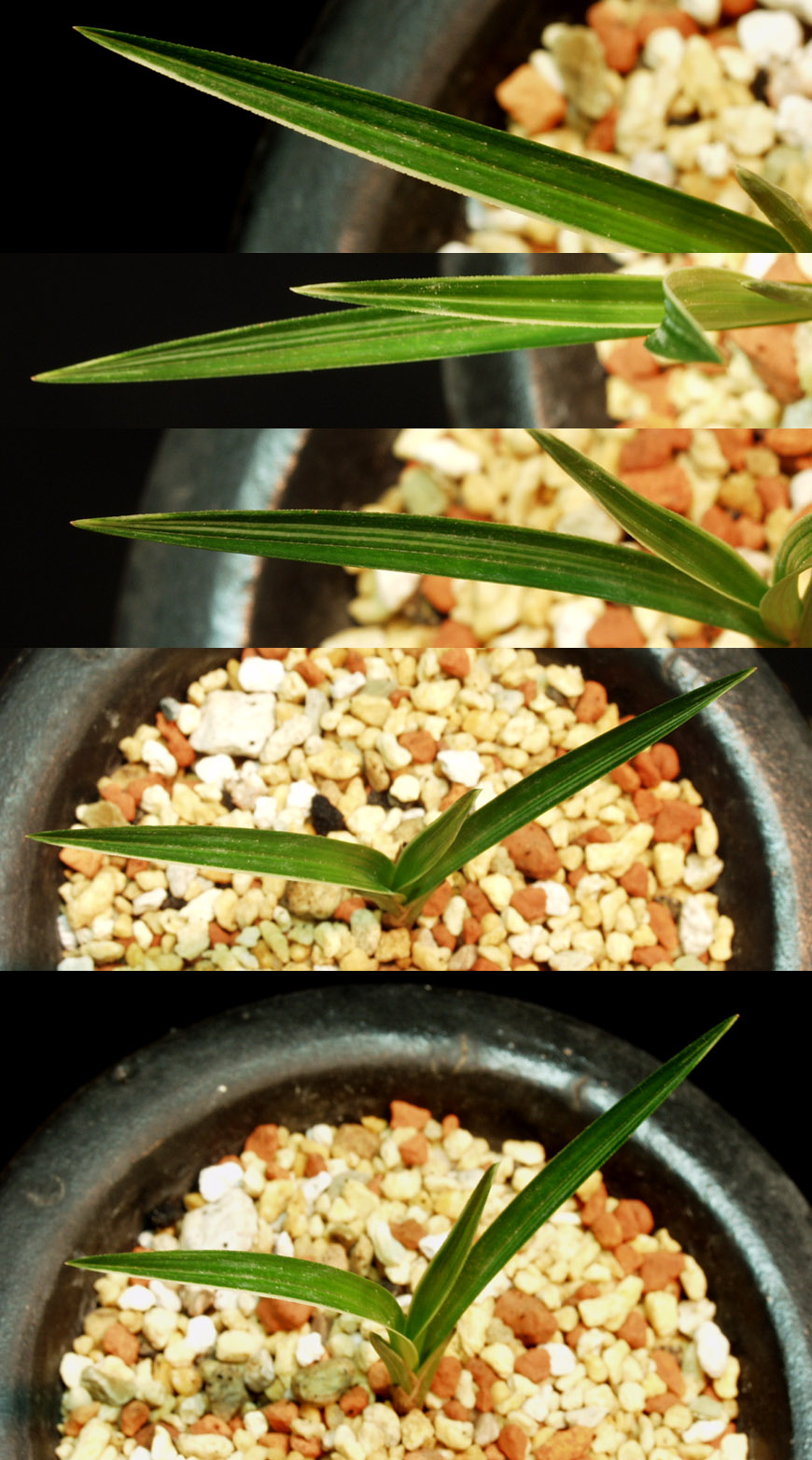 ������ ū������ �� �� �ֽ��ϴ�.