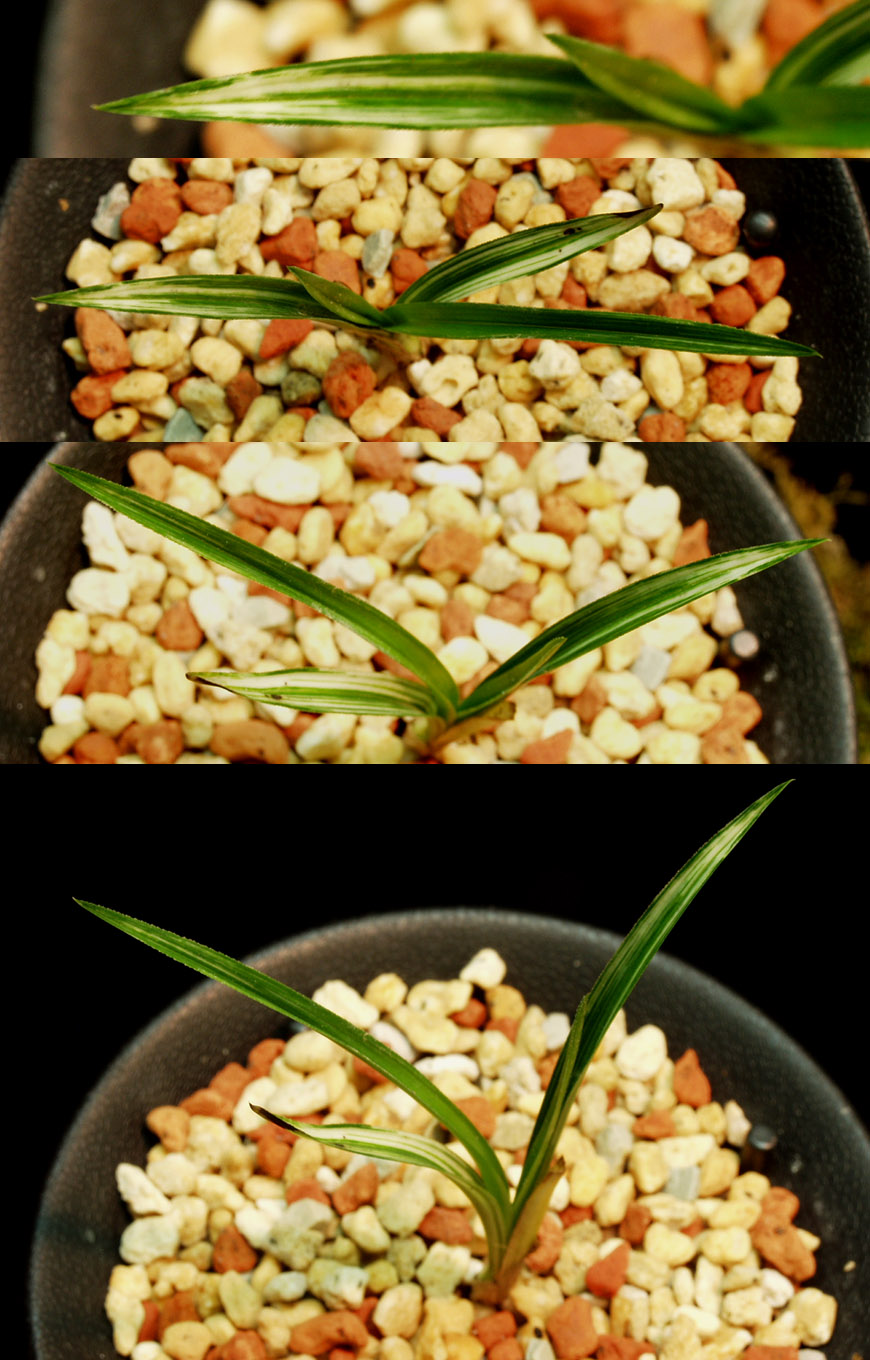 ������ ū������ �� �� �ֽ��ϴ�.