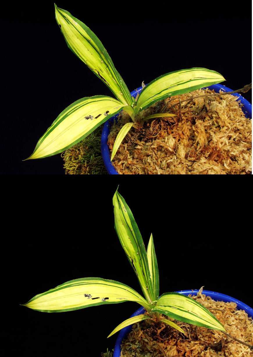 ������ ū������ �� �� �ֽ��ϴ�.