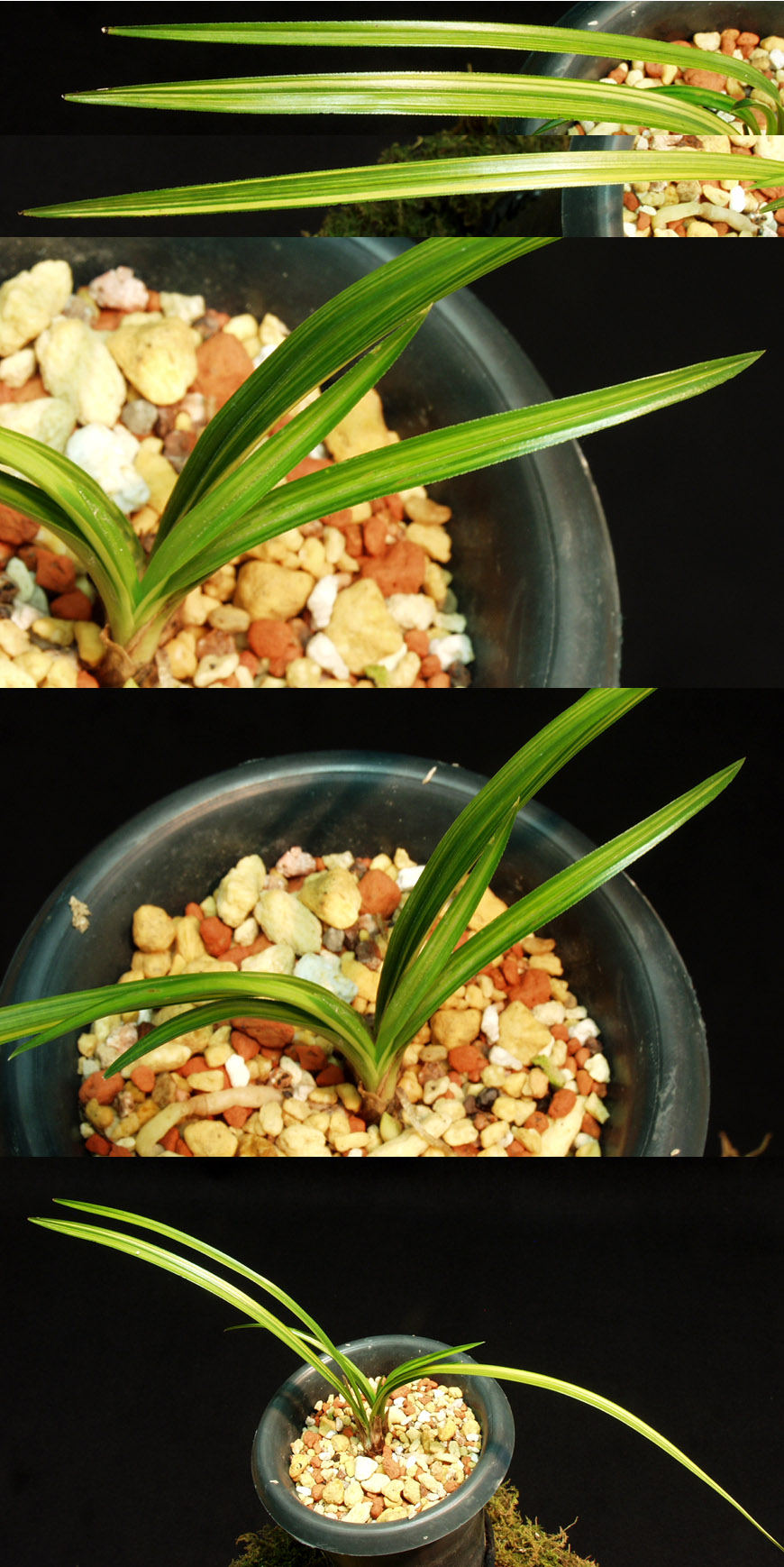 ������ ū������ �� �� �ֽ��ϴ�.