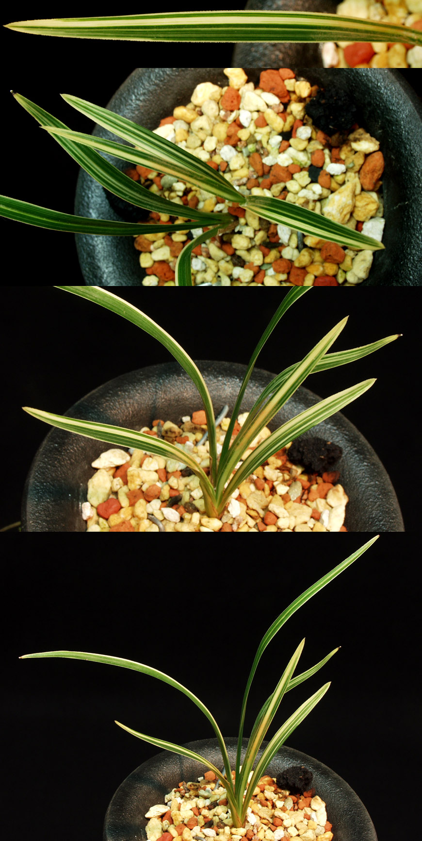 ������ ū������ �� �� �ֽ��ϴ�.