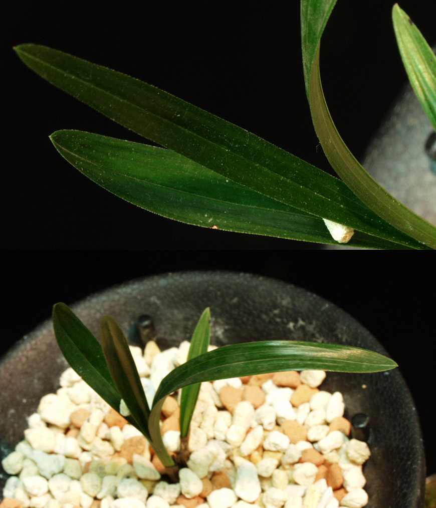 ������ ū������ �� �� �ֽ��ϴ�.