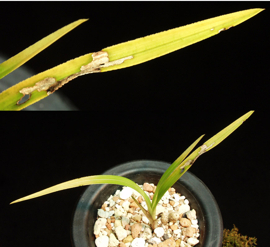 ������ ū������ �� �� �ֽ��ϴ�.