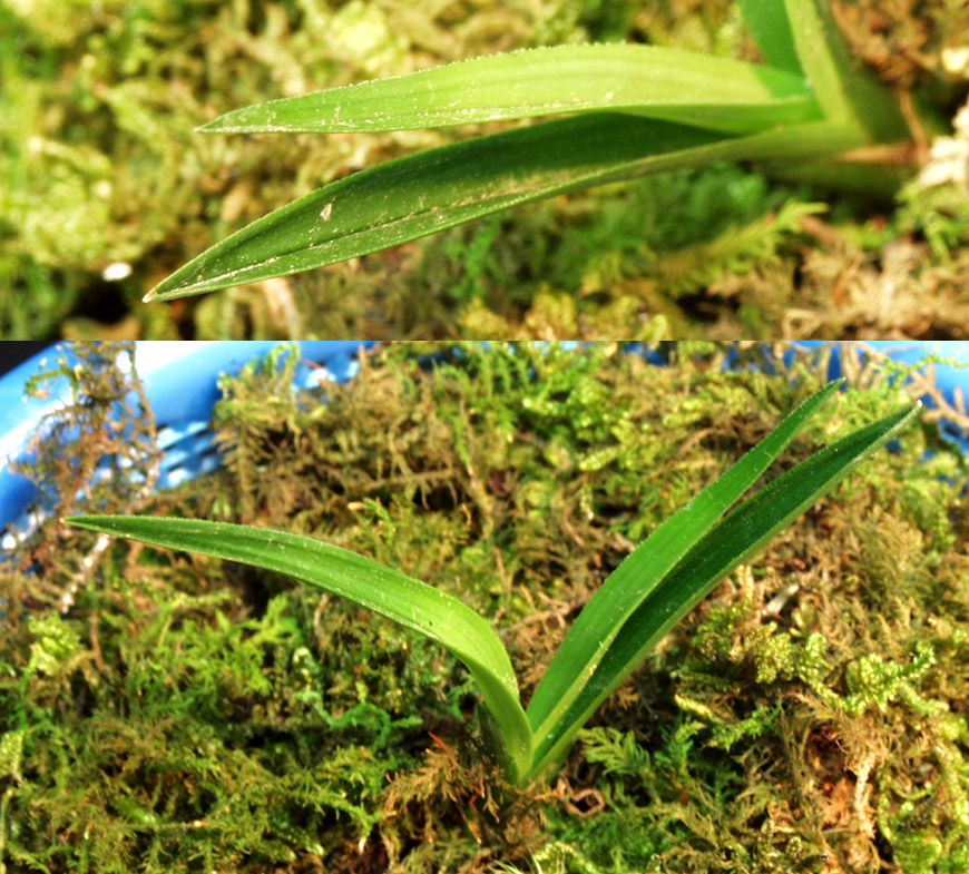 ������ ū������ �� �� �ֽ��ϴ�.