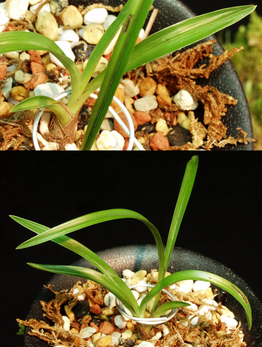 ������ ū������ �� �� �ֽ��ϴ�.