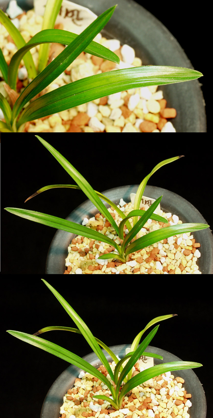 ������ ū������ �� �� �ֽ��ϴ�.