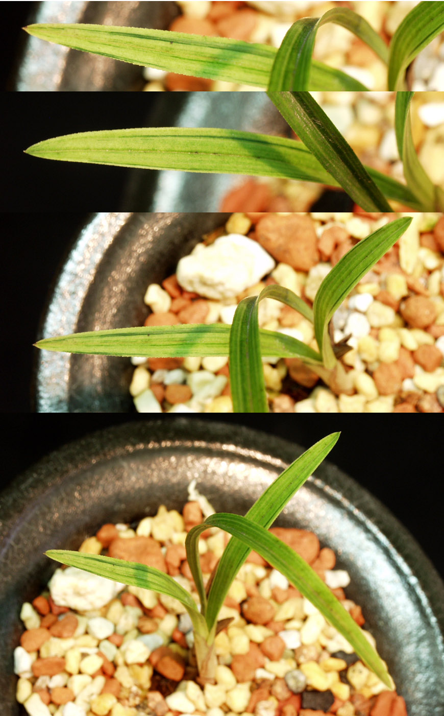 ������ ū������ �� �� �ֽ��ϴ�.