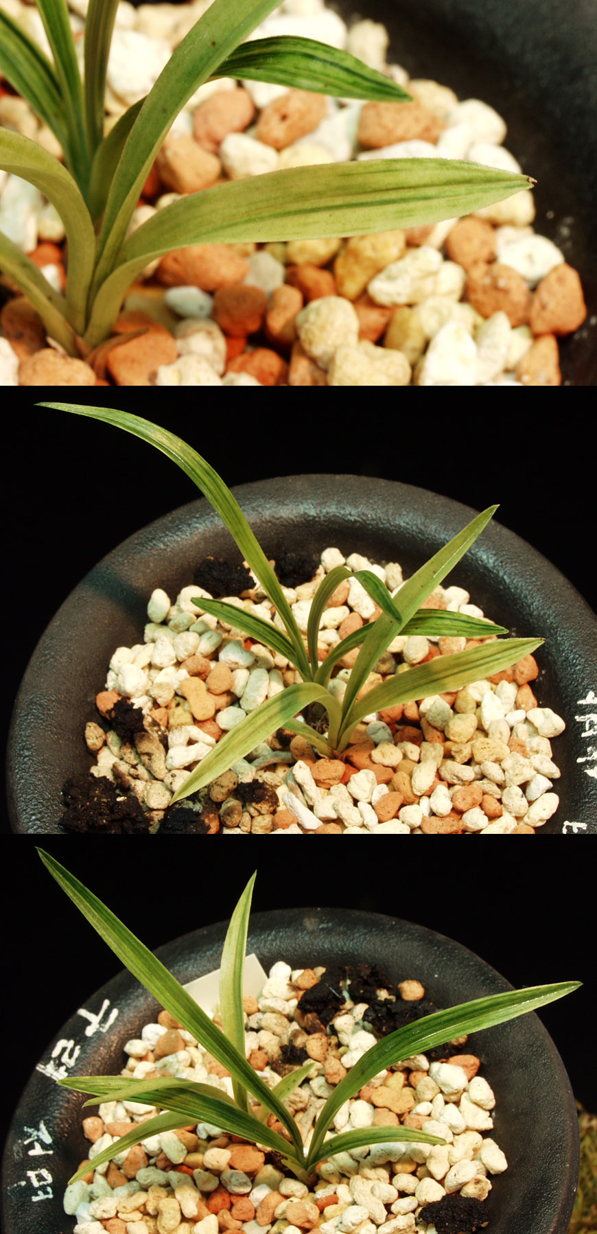 ������ ū������ �� �� �ֽ��ϴ�.