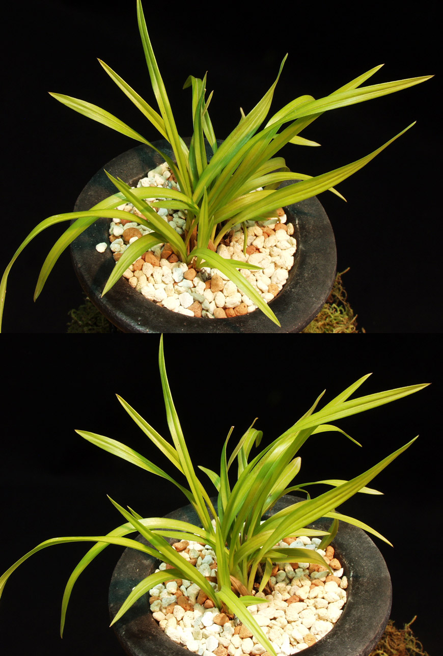 ������ ū������ �� �� �ֽ��ϴ�.