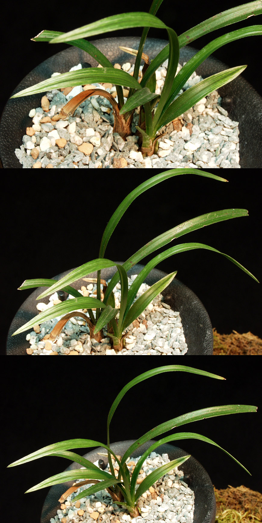 ������ ū������ �� �� �ֽ��ϴ�.