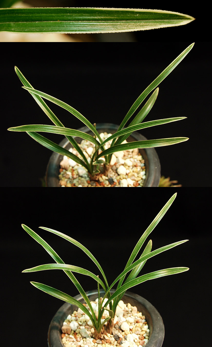 ������ ū������ �� �� �ֽ��ϴ�.