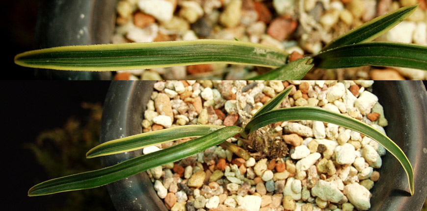 ������ ū������ �� �� �ֽ��ϴ�.