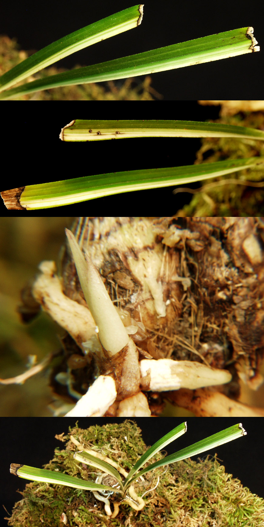 ������ ū������ �� �� �ֽ��ϴ�.