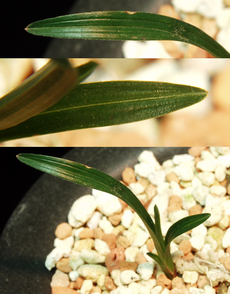 ������ ū������ �� �� �ֽ��ϴ�.