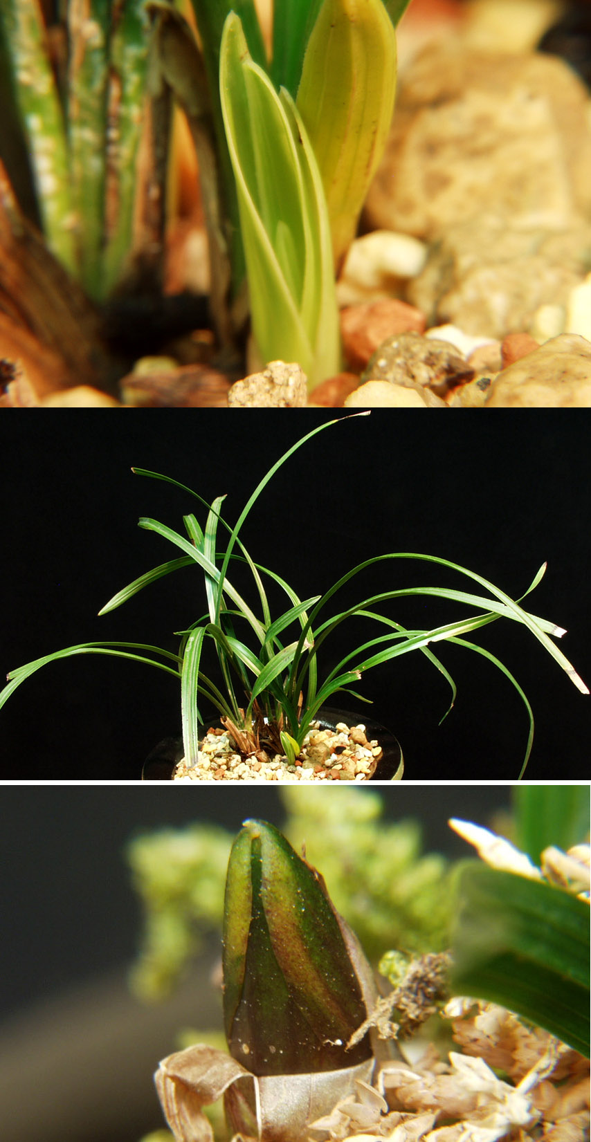 ������ ū������ �� �� �ֽ��ϴ�.