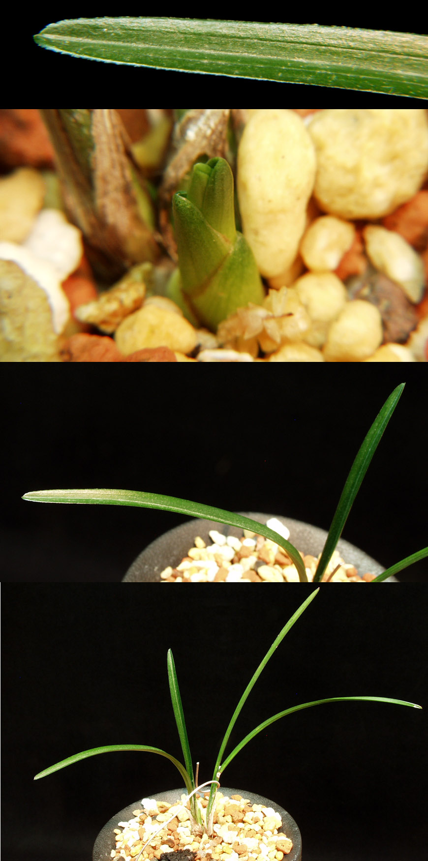 ������ ū������ �� �� �ֽ��ϴ�.